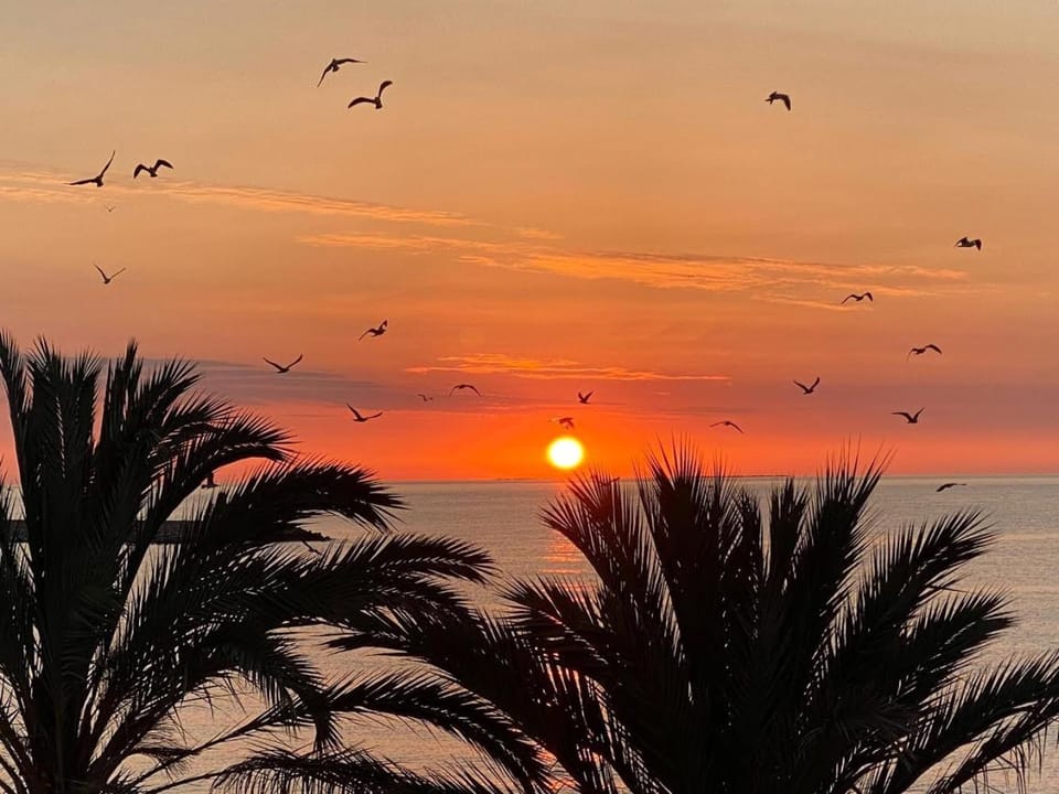 Sea view, Sunrise