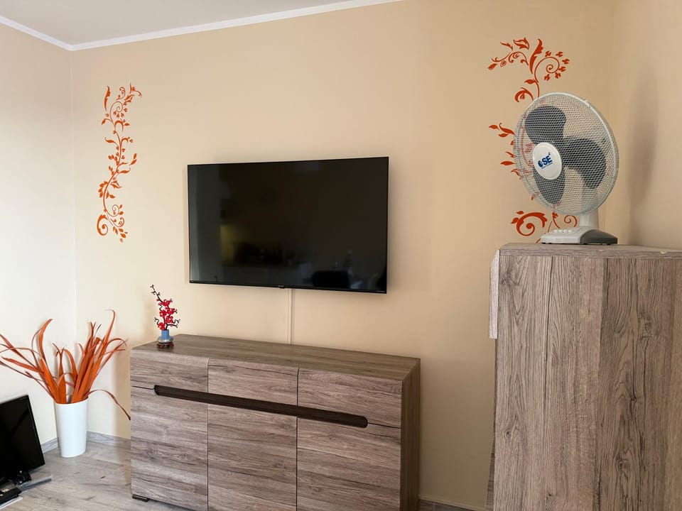 TV and multimedia