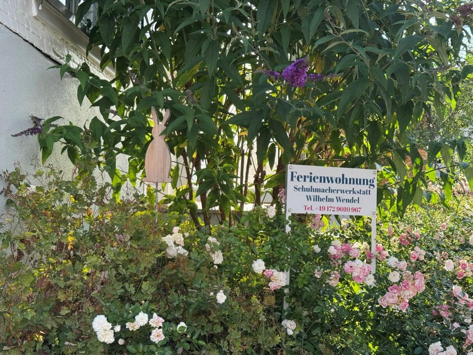 Property logo or sign, Summer, Garden