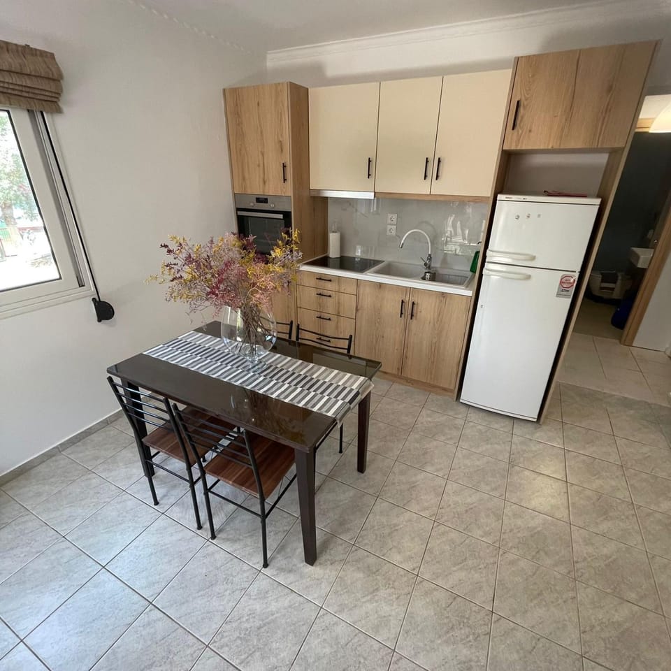Kitchen or kitchenette, Dining area, oven, stove