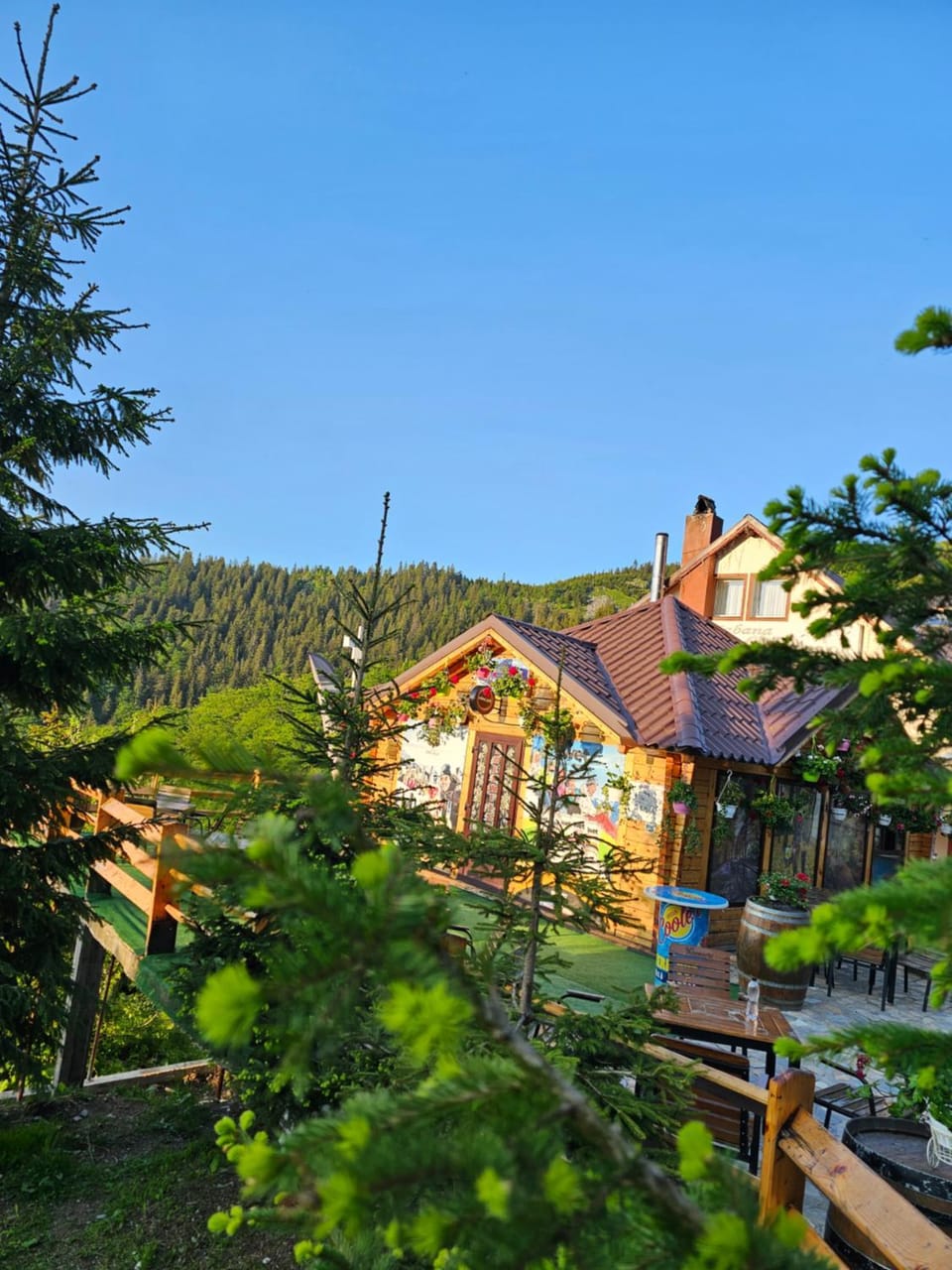 Cabana Edelweiss Hotel in Romania