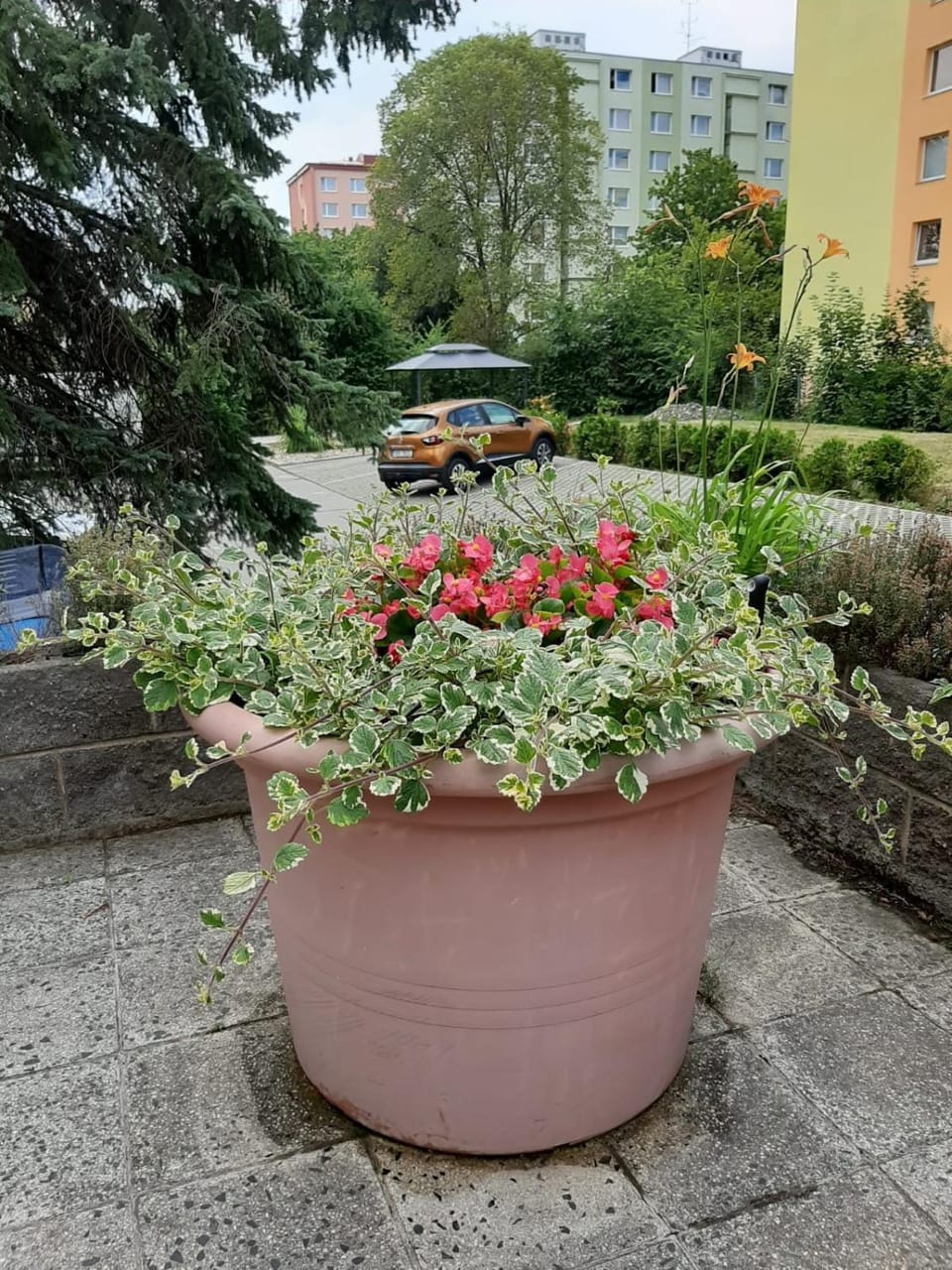 Property building, Garden, Area and facilities