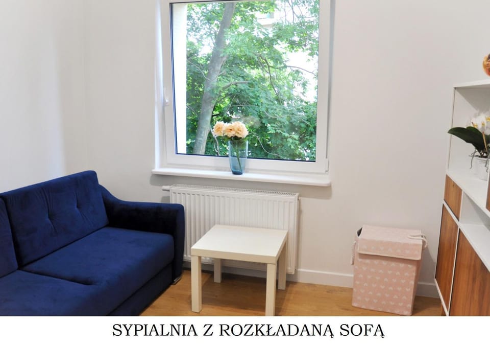 Bed, Seating area, Bedroom