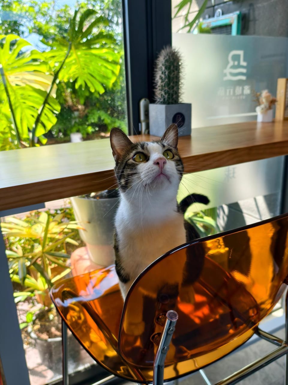 濱境行旅 Begin Inn Bed and Breakfast in Kaohsiung