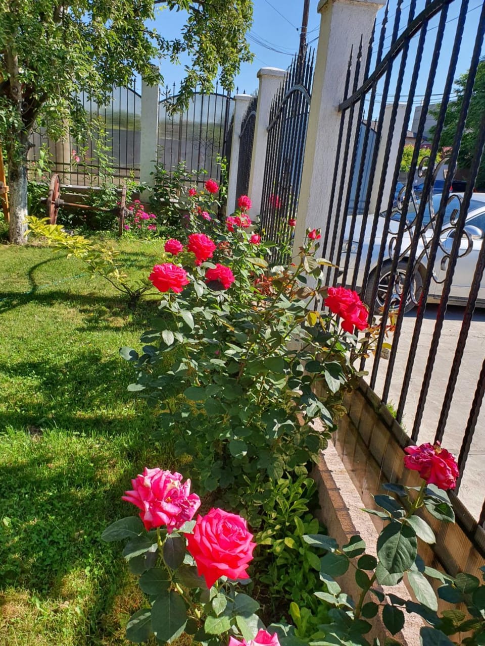 PENSIUNEA CIREȘUL ALB Bed and Breakfast in Romania