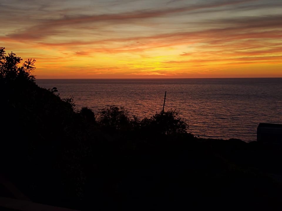 MAREVIGLIOSO Fronte Mare Sea Front Apartment in Sardinia