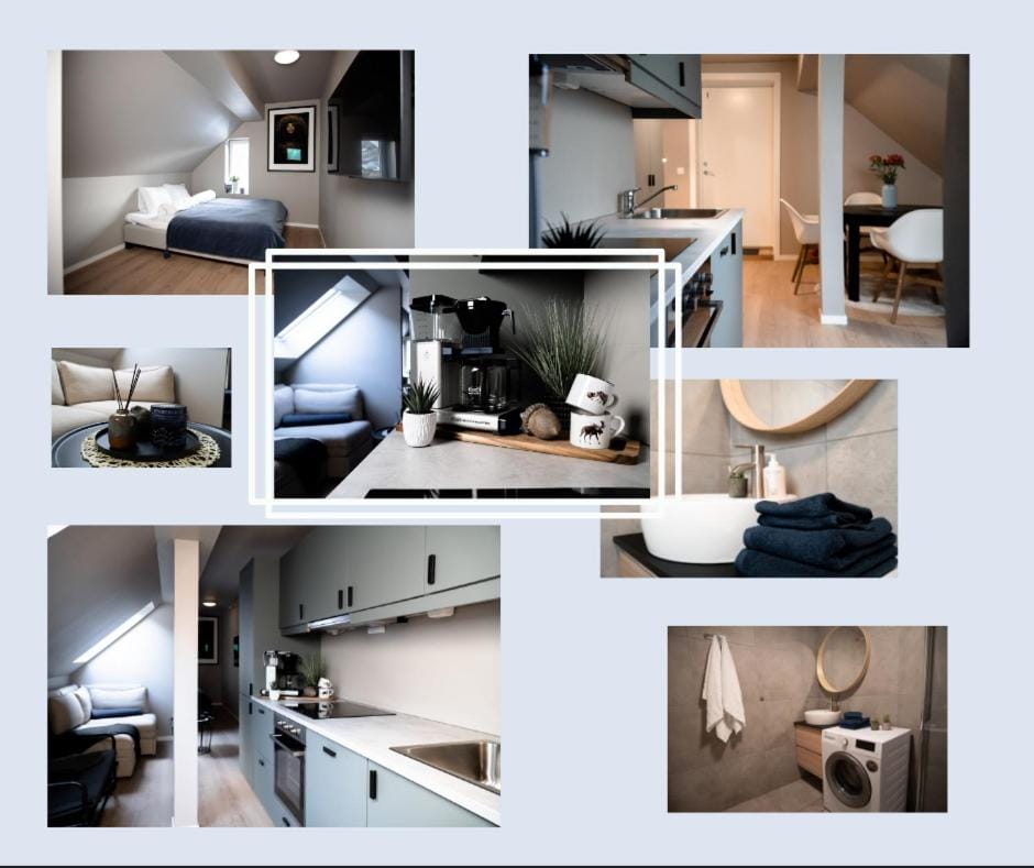 Bed, Kitchen or kitchenette, Photo of the whole room, Bedroom, pet friendly, stove