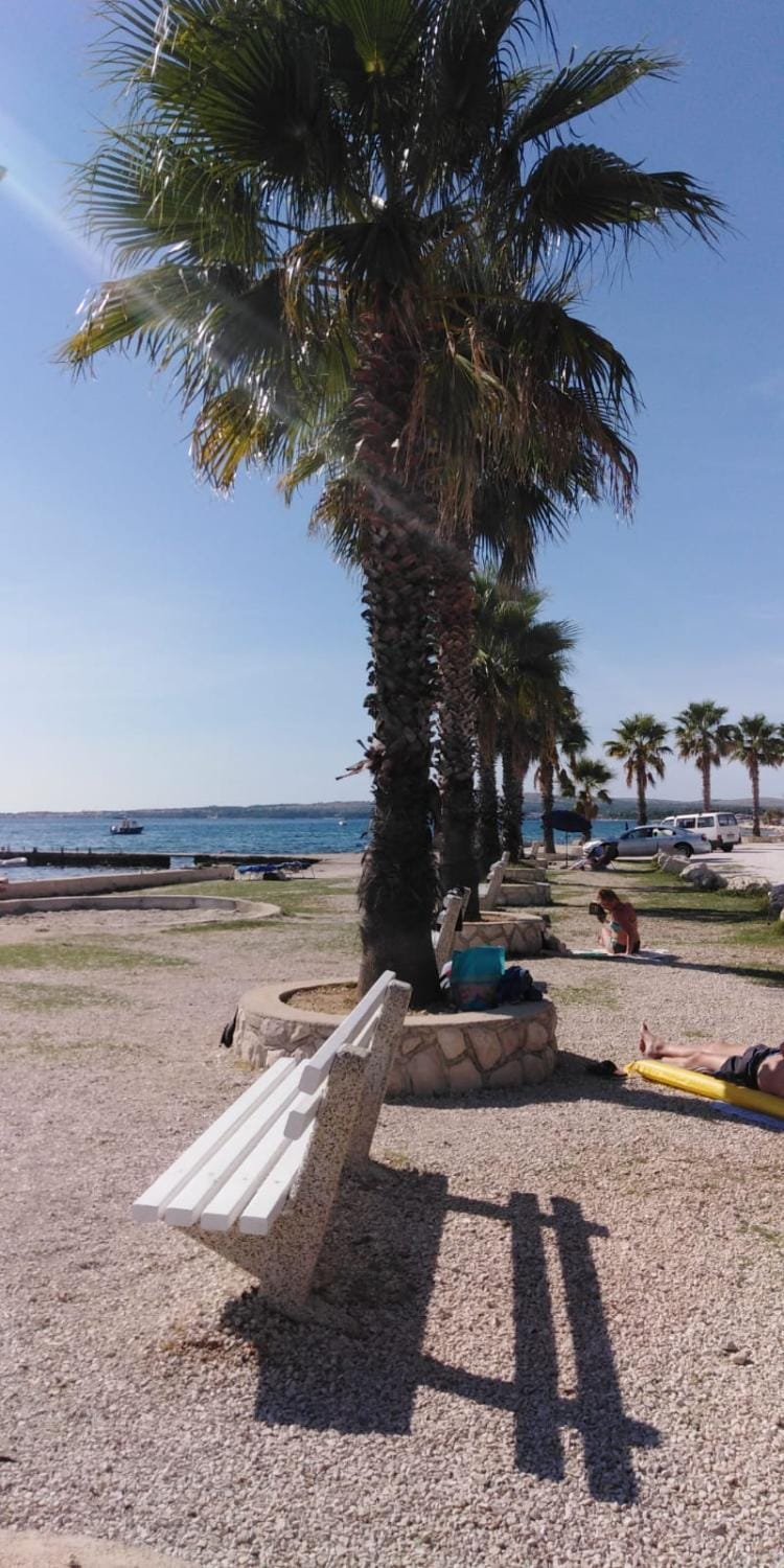 Property building, Natural landscape, Beach