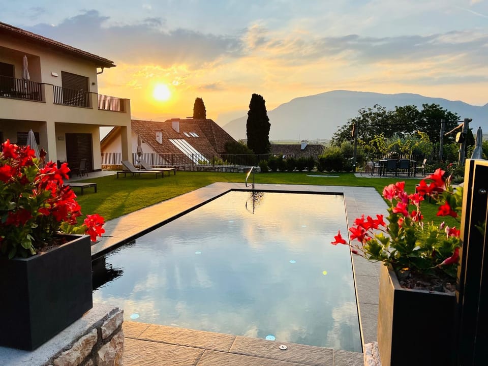 Garden, Garden view, Swimming pool, Sunrise