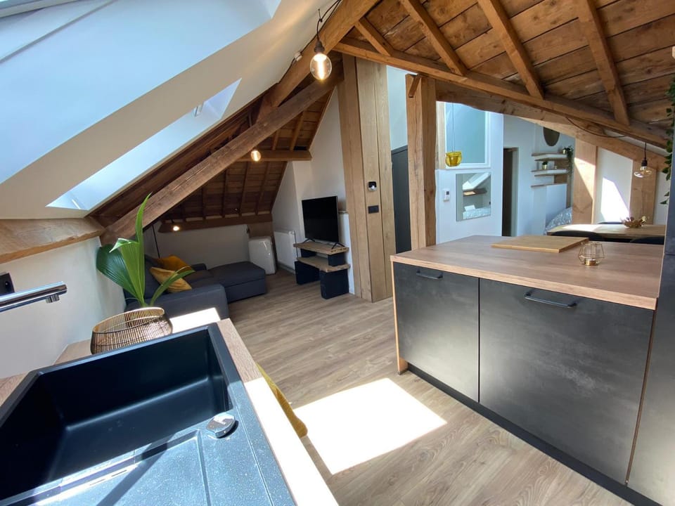 Living room, kitchen