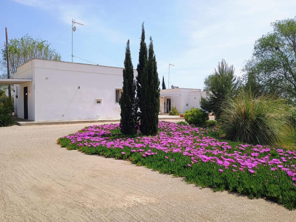 Spring, Garden