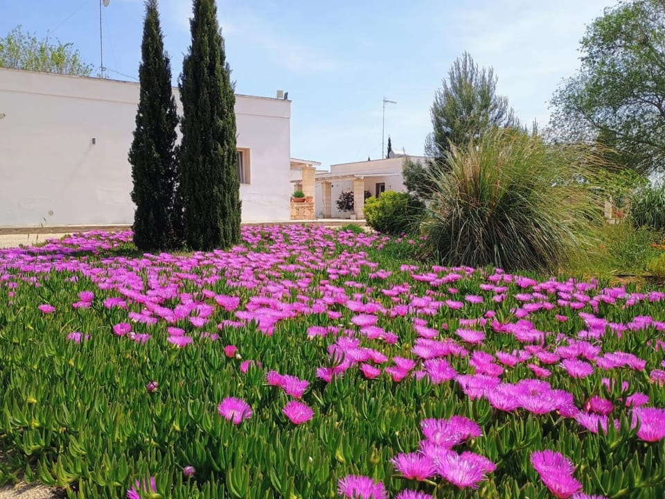 Spring, Garden