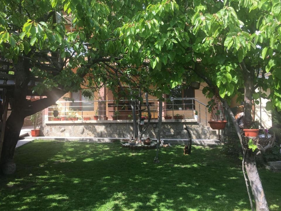 Natural landscape, Garden, Garden view