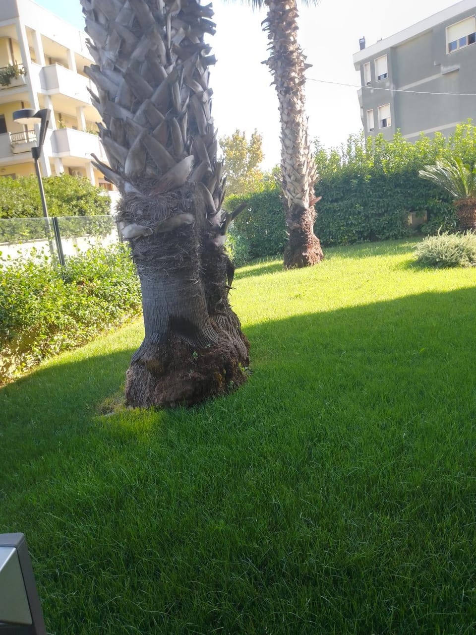 Casa delle sorprese Apartment in Francavilla al Mare
