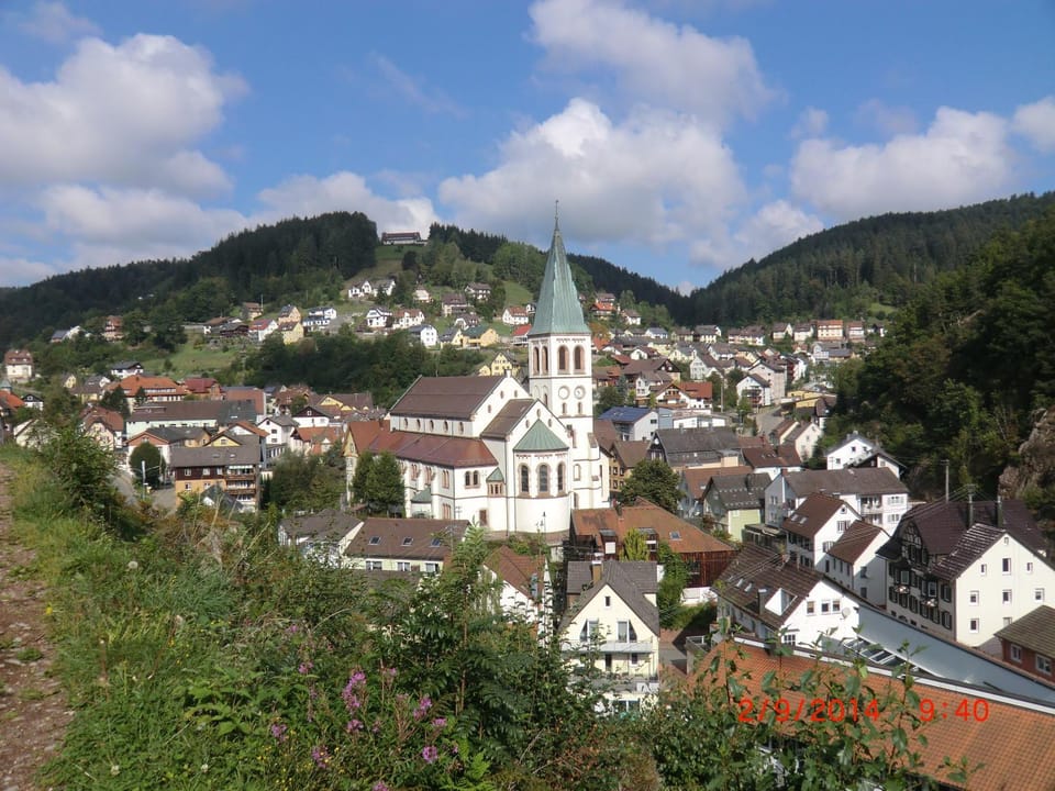 Haus Diesenhof House in Ortenau
