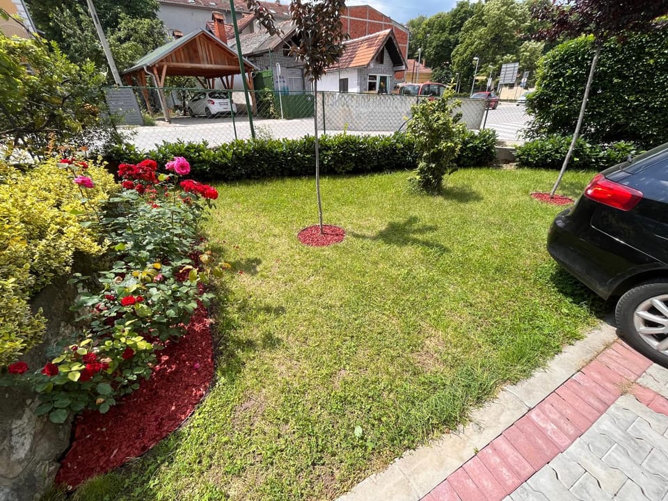 Day, Garden, Street view