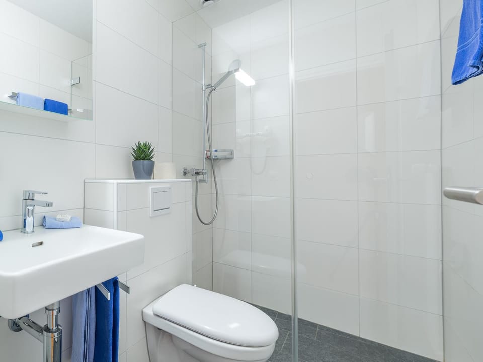 Shower, Toilet, Decorative detail