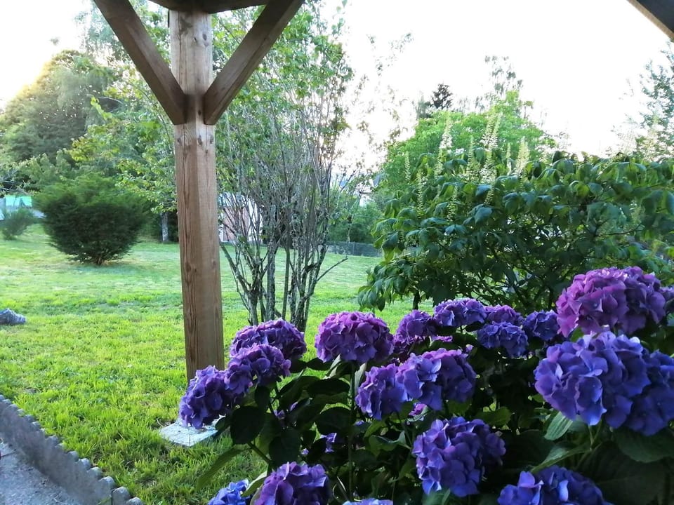 Le petit nid Bed and Breakfast in Nouvelle-Aquitaine