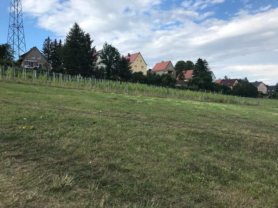 Neighbourhood, Natural landscape