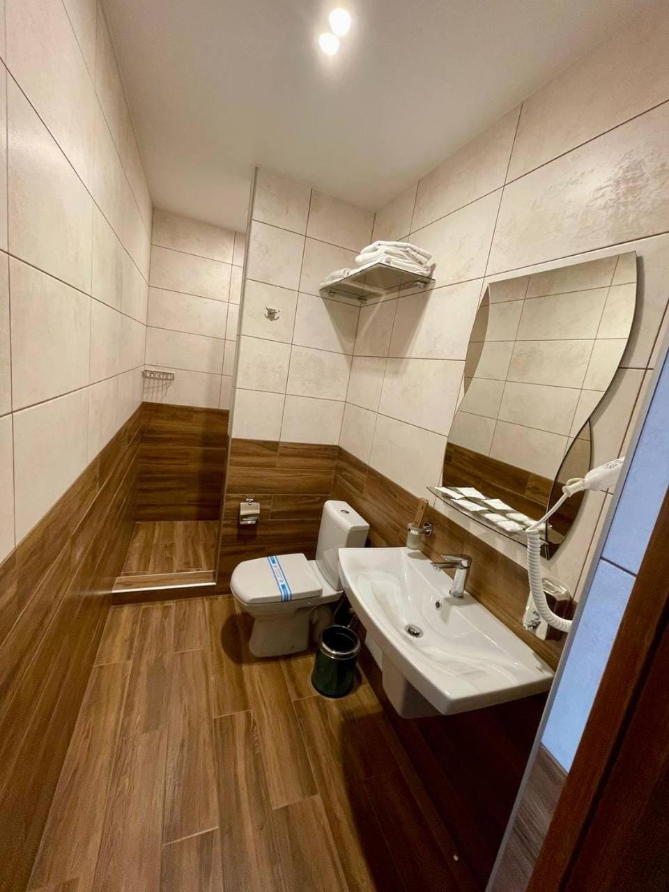 Shower, Toilet, towels