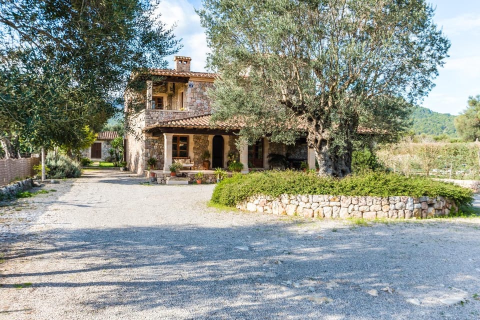 Property building, Facade/entrance, Garden
