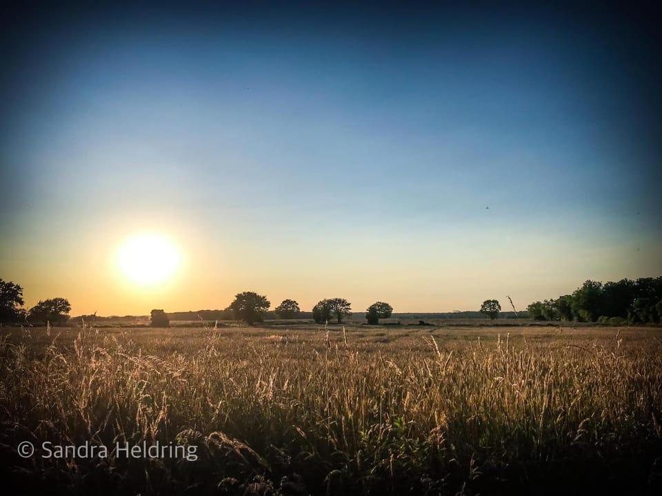 Natural landscape