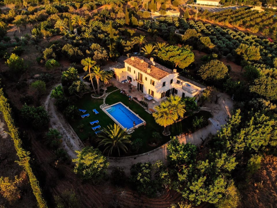 Bird's eye view, Summer, Garden, Pool view, Swimming pool