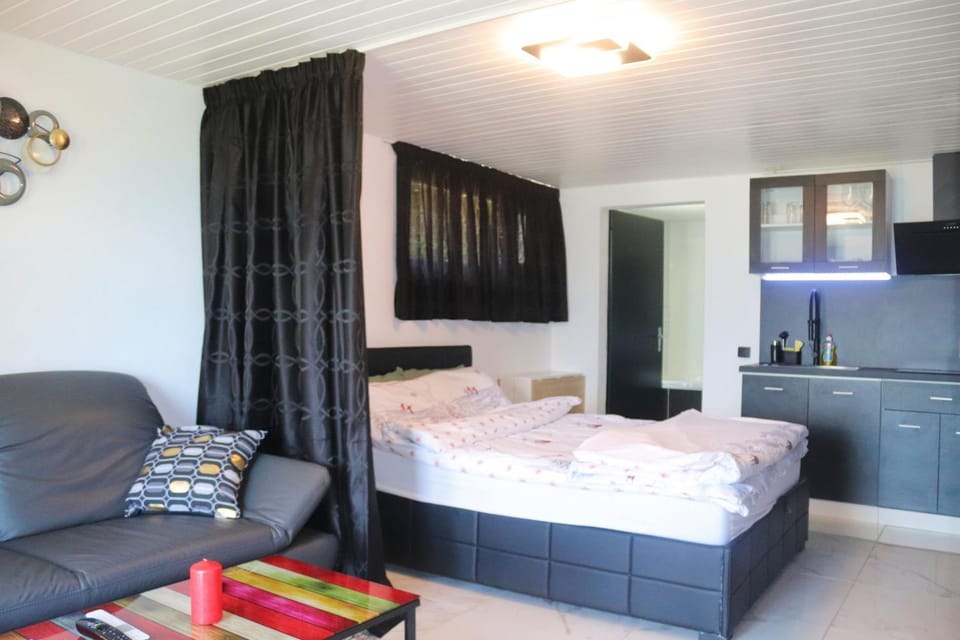 Bed, Kitchen or kitchenette, Living room, Photo of the whole room, Seating area, Bedroom, minibar, towels