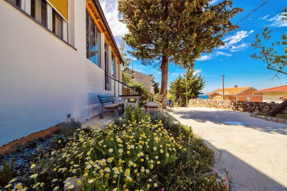 Garden, Balcony/Terrace