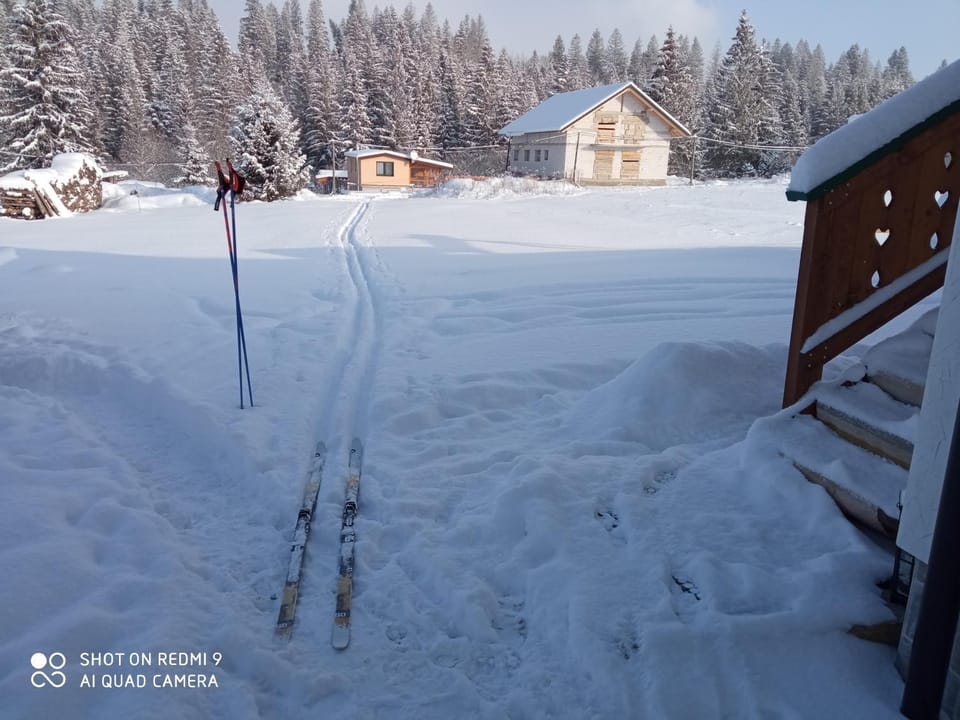 Skiing