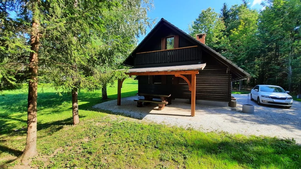 Forrest House House in Slovenia