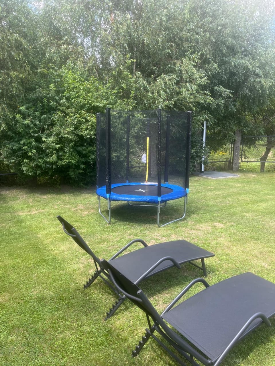 Spring, Day, Natural landscape, Garden, Evening entertainment, Garden view, sunbed