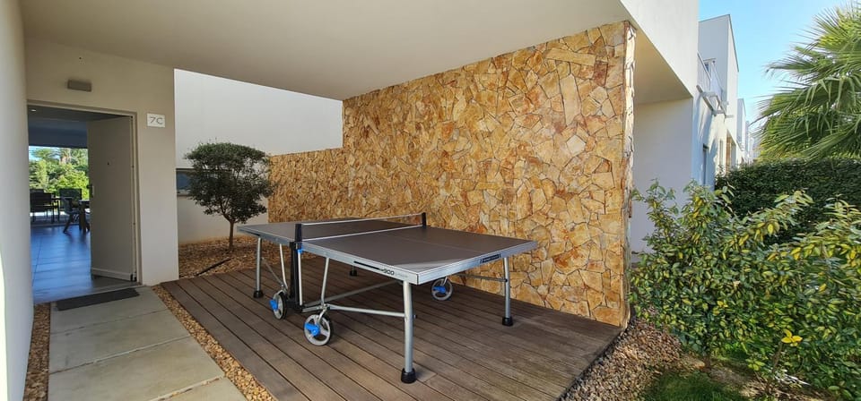 Table tennis, Table tennis