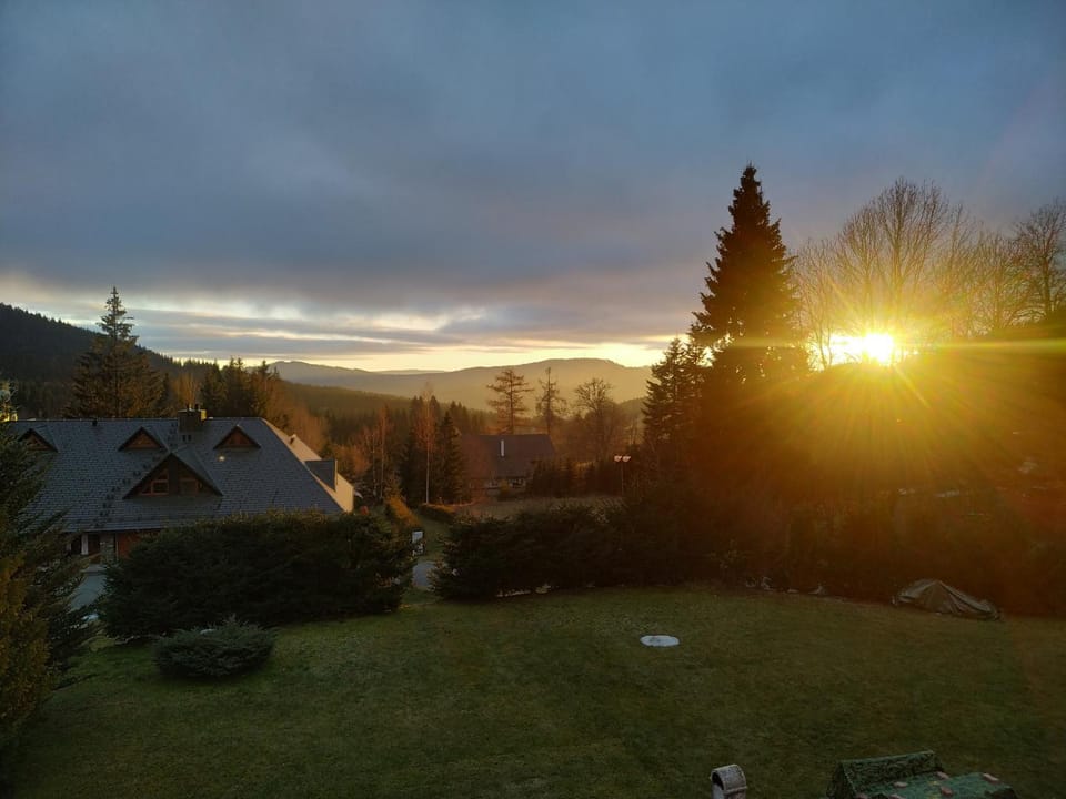 Garden, Mountain view, Sunset