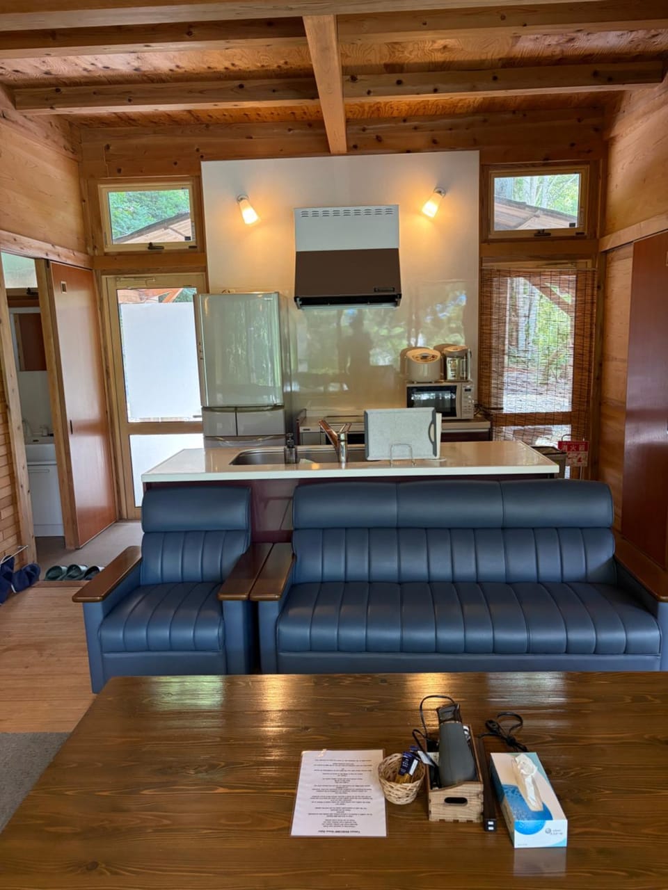 Living room, kitchen