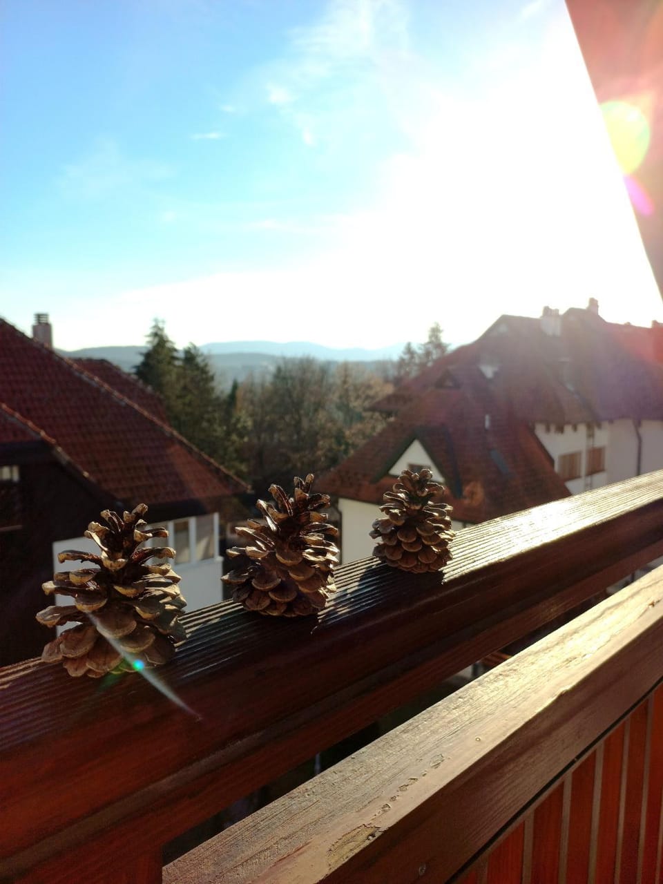 Day, Natural landscape, View (from property/room), Balcony/Terrace, Mountain view