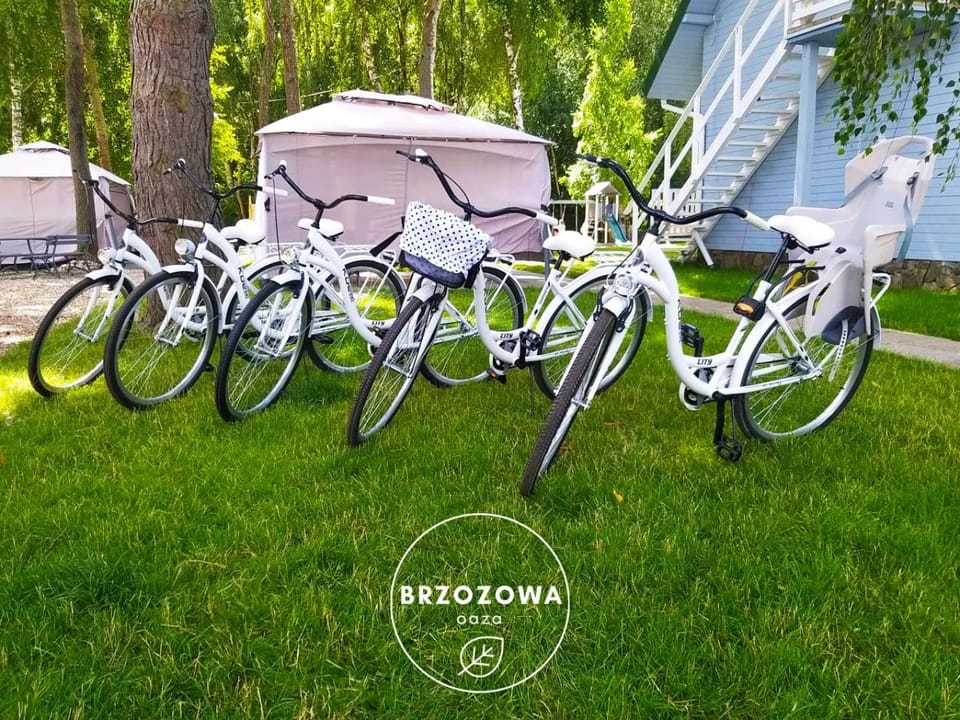 Brzozowa Oaza Apartment in West Pomeranian Voivodeship, Poland