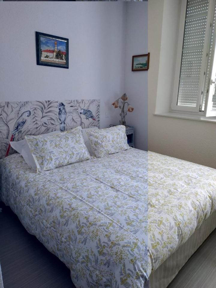 Photo of the whole room