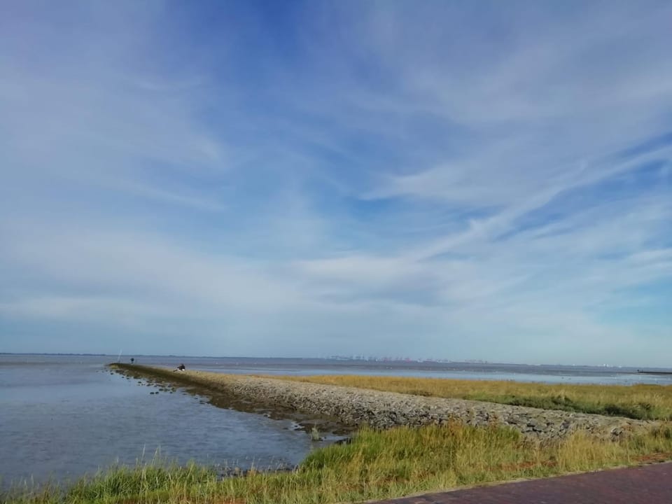 Natural landscape