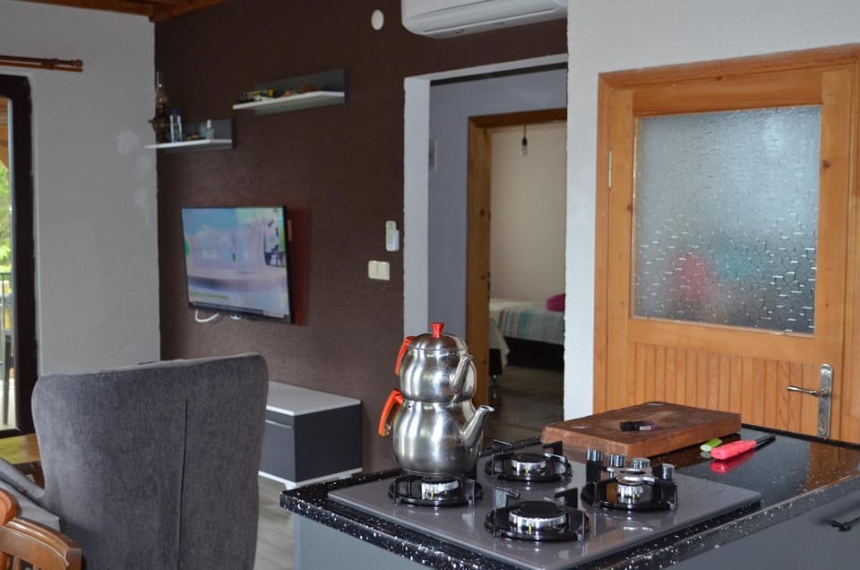 Trabzon green valley villa Villa in Turkey