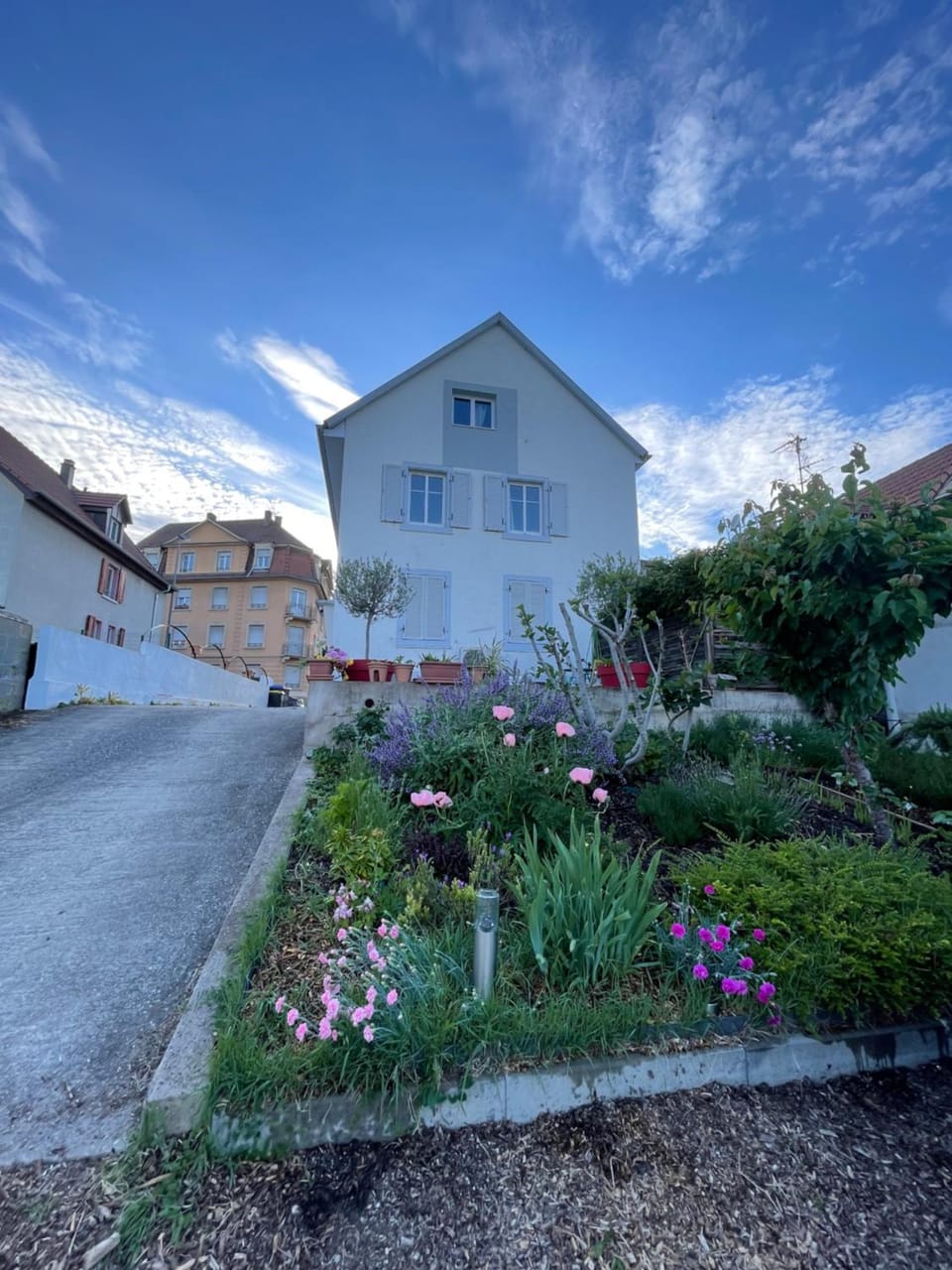 Garden, Garden view