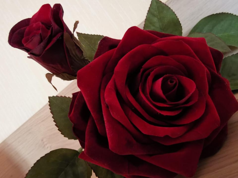 Ferienwohnung Moselblick Apartment in Cochem-Zell