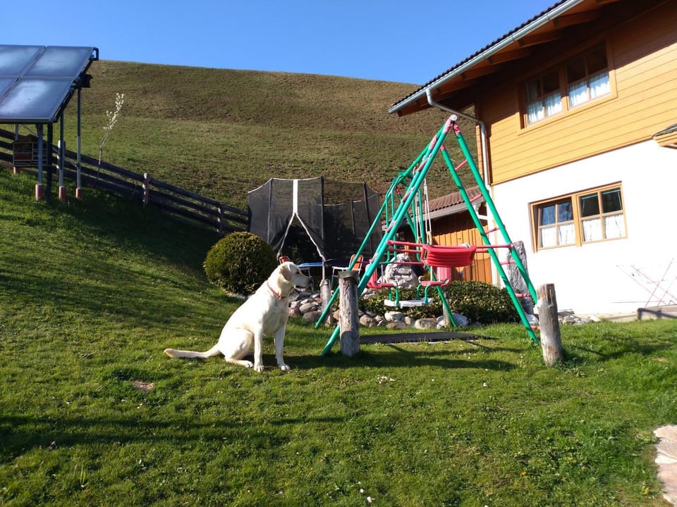 Children play ground