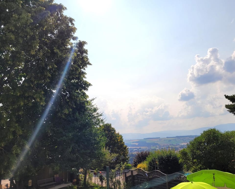 Patio, Garden, View (from property/room), Sunrise, Sunset