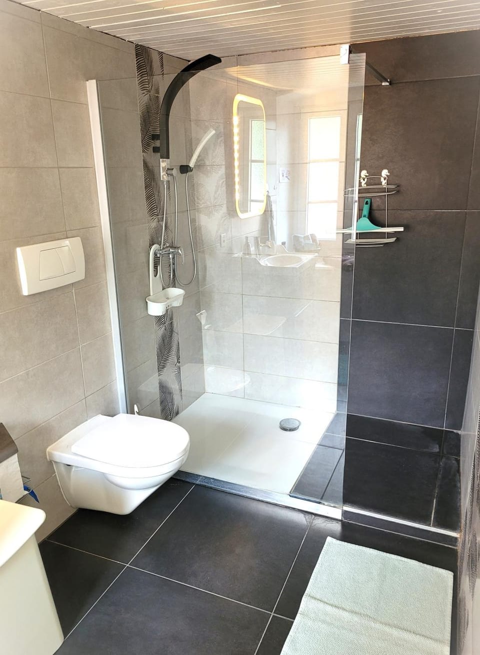 Shower, Toilet, Bathroom, Bedroom, towels