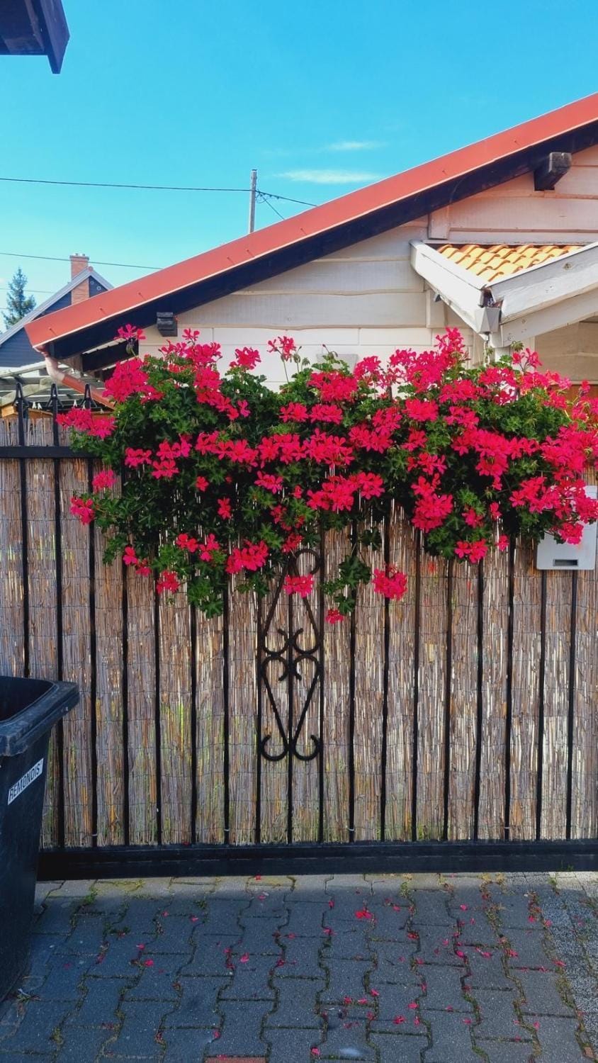 Apartament Pół Domu Nad Jeziorami Apartment in Poland