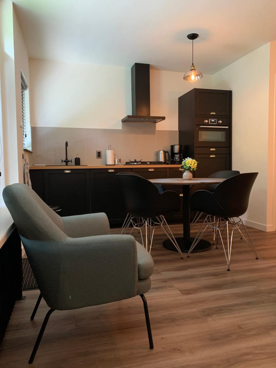 Kitchen or kitchenette, Living room, Seating area, Dining area, stove