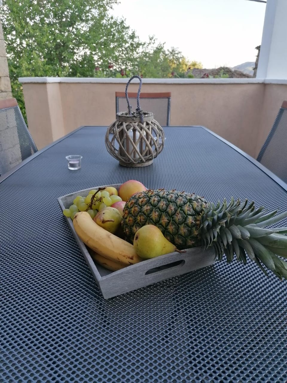 House Suzana Apartment in Istria County