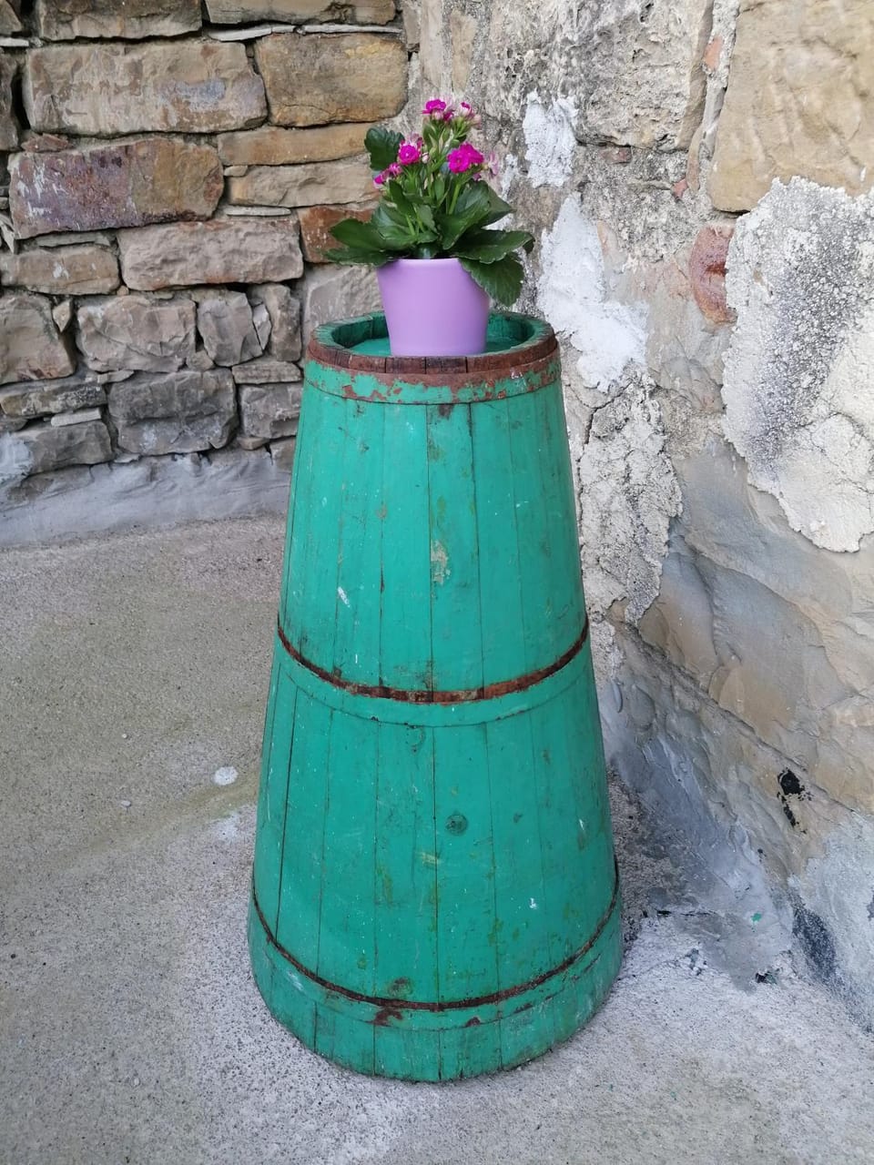 House Suzana Apartment in Istria County
