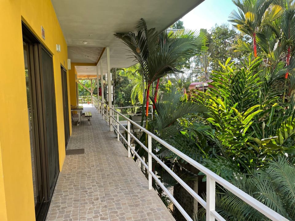Balcony/Terrace, Garden view